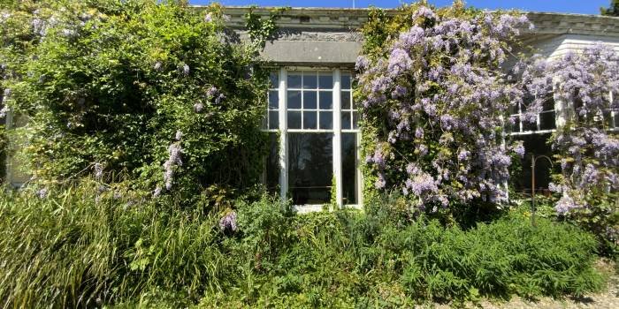 The Shannon River House