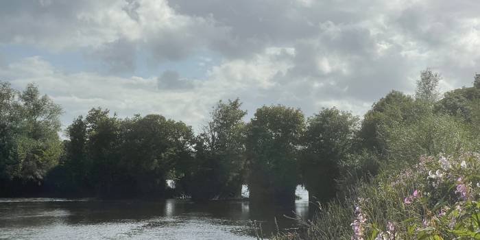 The Shannon River House